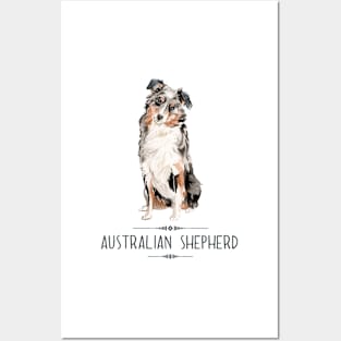 Australian Shepherd Posters and Art